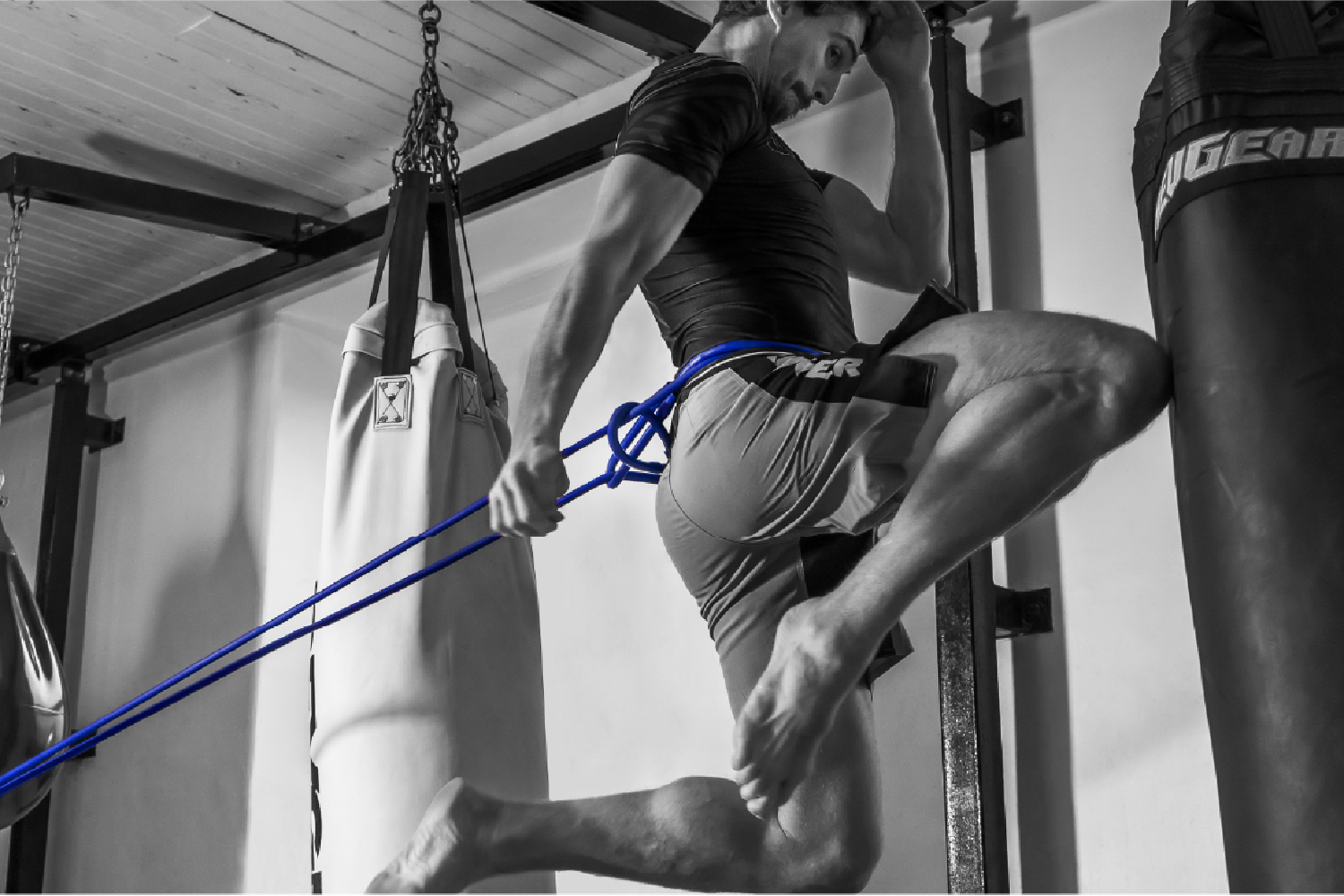 The best resistance bands